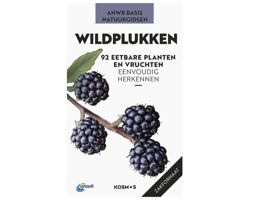 Boek - ANWB Basis Natuurgids - Wildplukken